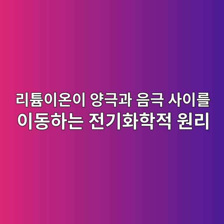 리튬이온이 양극과 음극 사이를 이동하는 전기화학적 원리 5 eba6aced8aacec9db4ec98a8ec9db4 ec9691eab7b9eab3bc ec9d8ceab7b9 ec82acec9db4eba5bc ec9db4eb8f99ed9598eb8a94 eca084eab8b0ed9994ed9599 1787224404