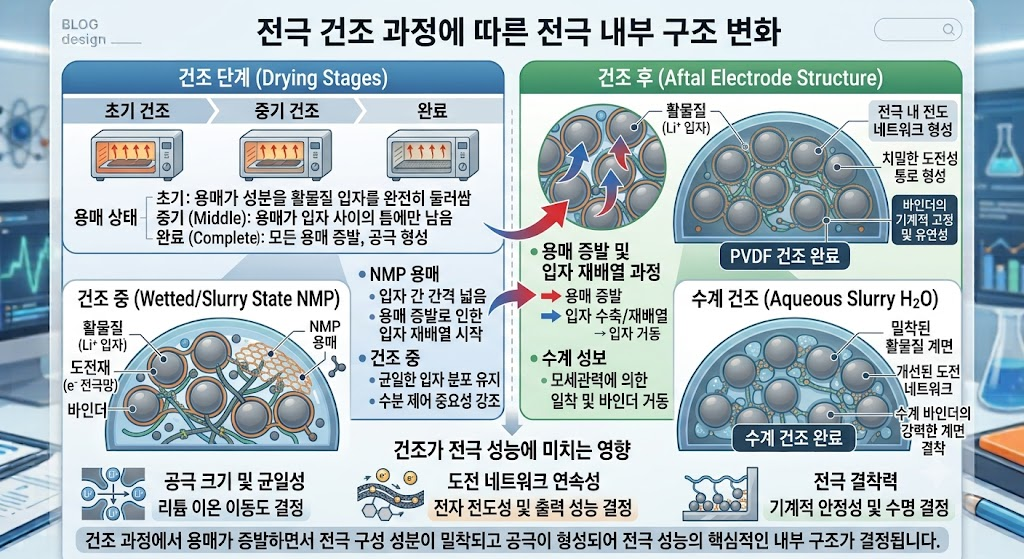 이차전지. 전극 건조 과정에서 용매가 증발하면서 전극 내부 구조는 어떻게 변하는가 2 image 8