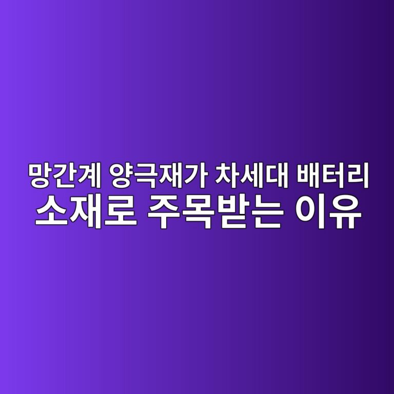 망간계 양극재가 차세대 배터리 소재로 주목받는 이유. 이차전지 기술 소재 4 eba79deab084eab384 ec9691eab7b9ec9eaceab080 ecb0a8ec84b8eb8c80 ebb0b0ed84b0eba6ac ec868cec9eaceba19c eca3bcebaaa9ebb09beb8a94 ec9db4 1789277380
